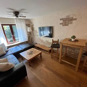 Stylish Oldtown Free Parking Air Condition Apartment Heidelberg