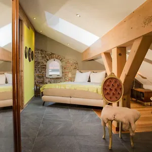 Altstadt-loft Apartment